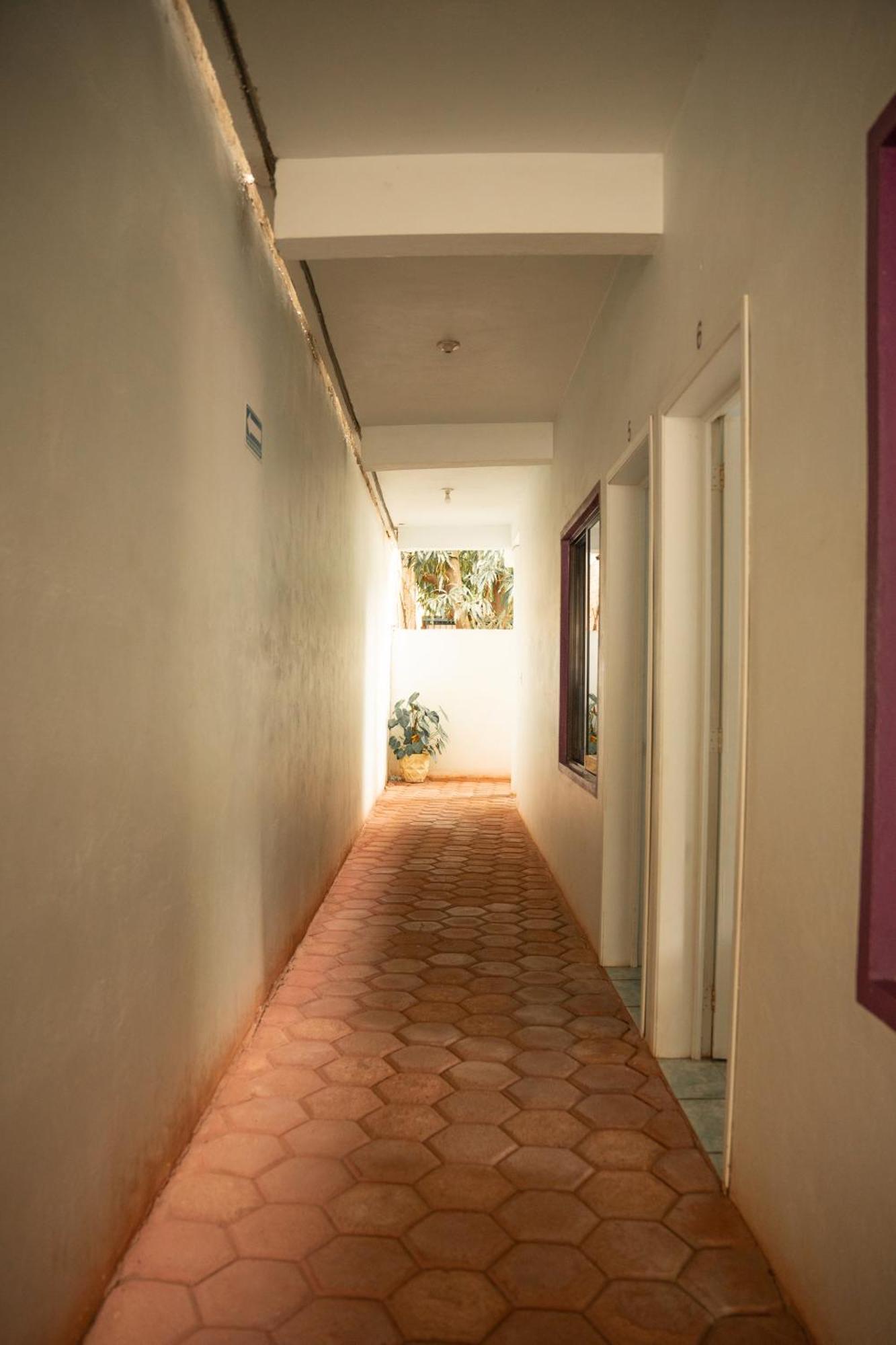 Hotel Palmarito プエルト・エスコンディード エクステリア 写真