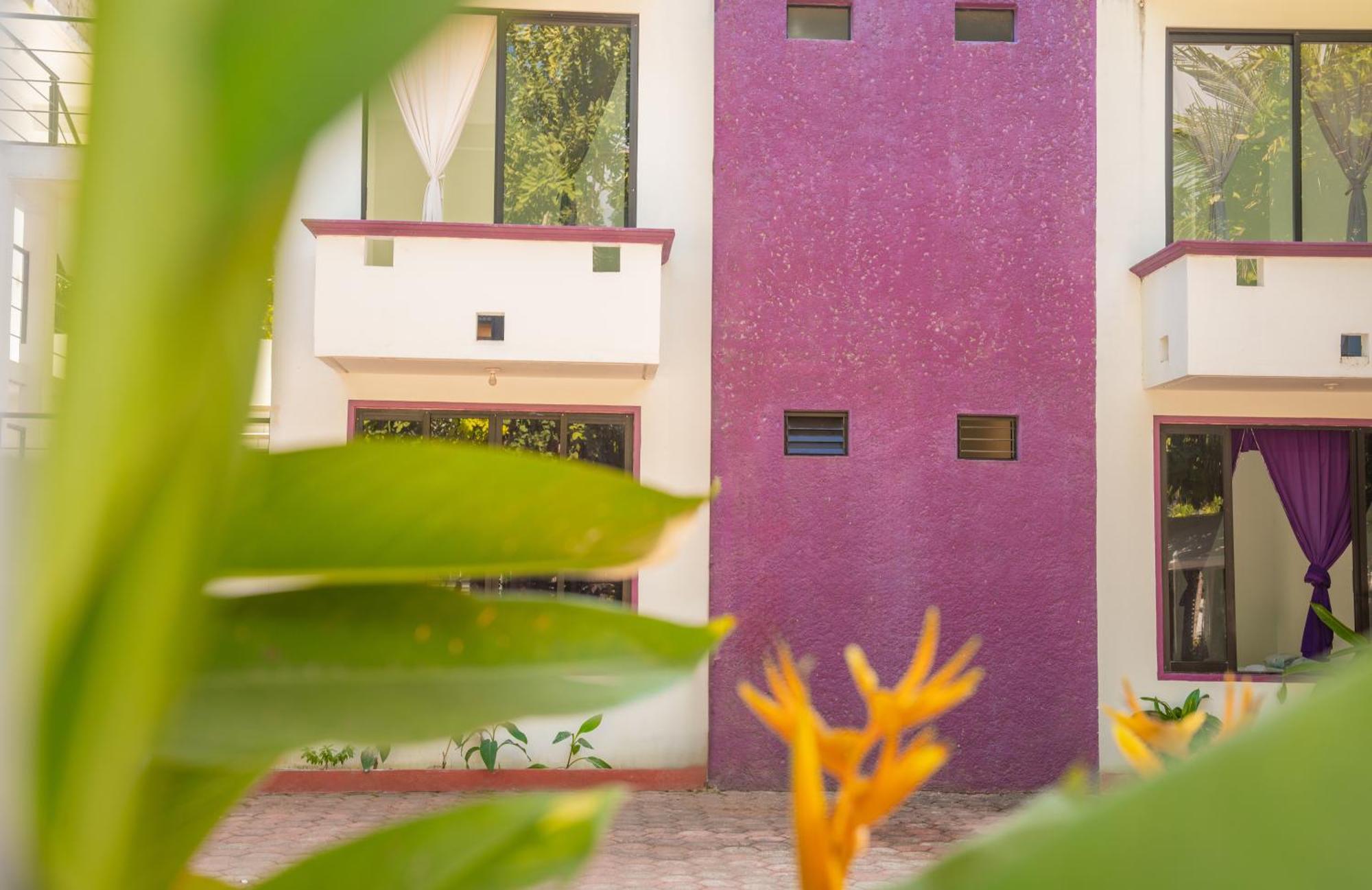 Hotel Palmarito プエルト・エスコンディード エクステリア 写真