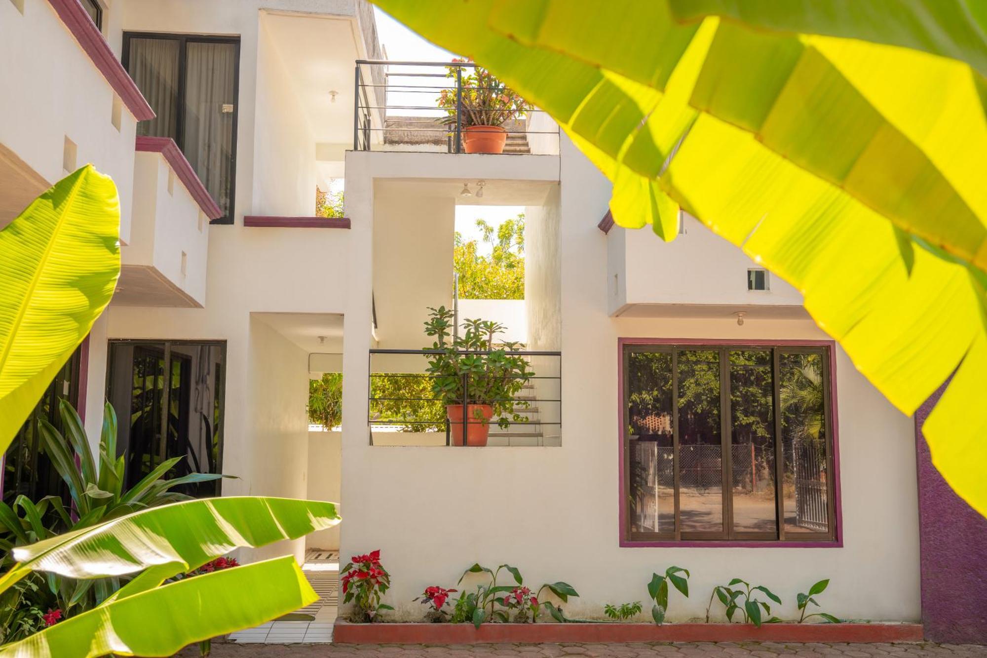 Hotel Palmarito プエルト・エスコンディード エクステリア 写真
