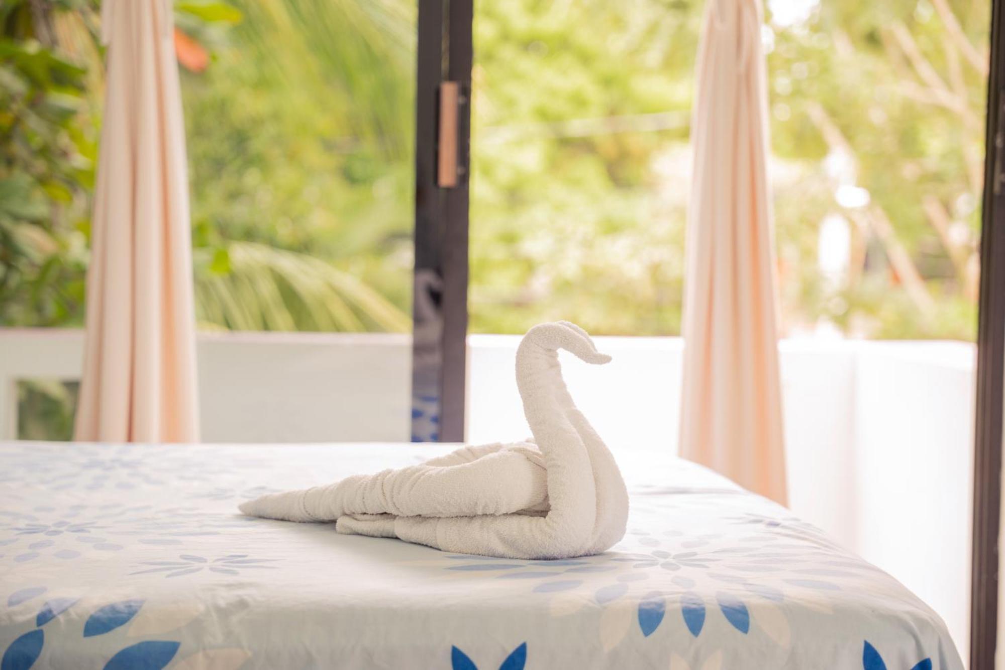 Hotel Palmarito プエルト・エスコンディード エクステリア 写真